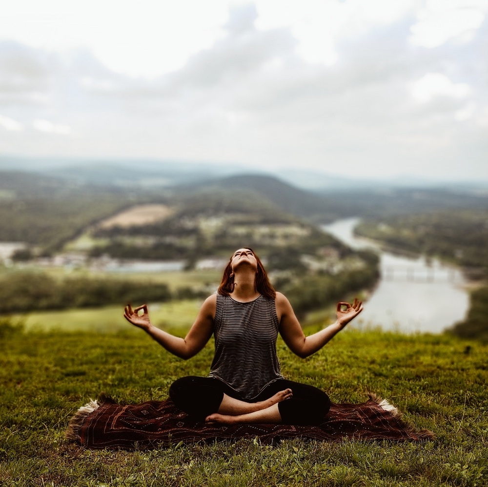 🐮 Hey everyone!!! 🐰